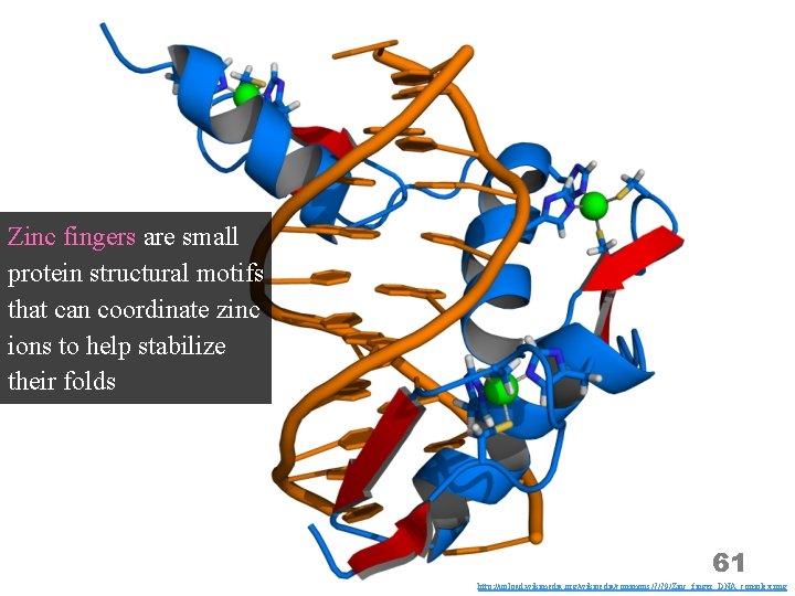 Zinc fingers are small protein structural motifs that can coordinate zinc ions to help