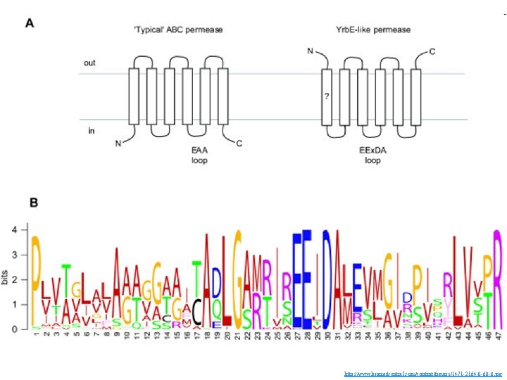 http: //www. biomedcentral. com/content/figures/1471 -2164 -8 -60 -8. jpg 