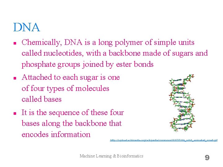 DNA n n n Chemically, DNA is a long polymer of simple units called