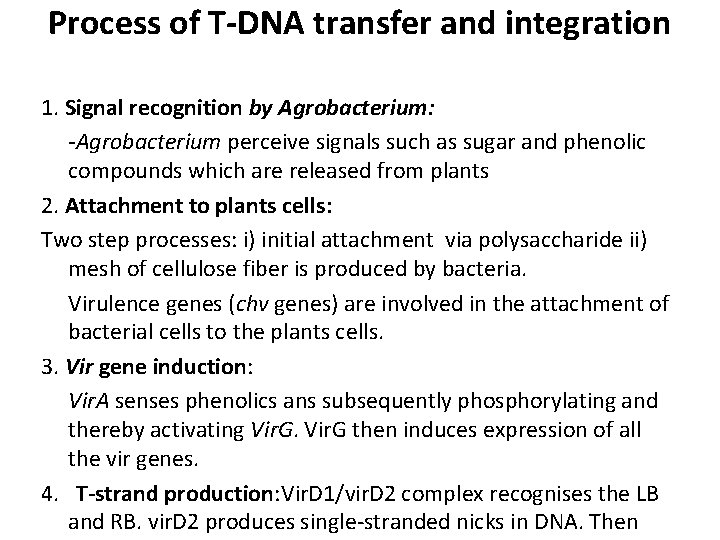 Process of T-DNA transfer and integration 1. Signal recognition by Agrobacterium: -Agrobacterium perceive signals