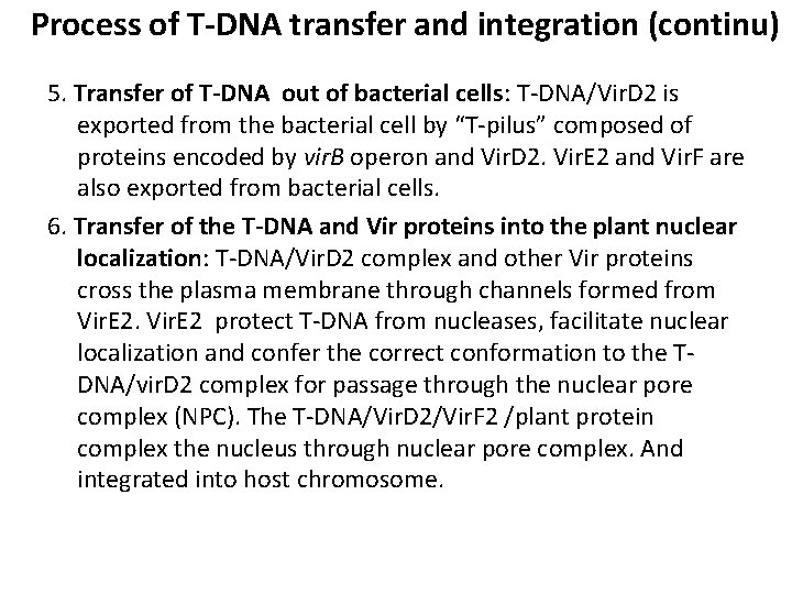 Process of T-DNA transfer and integration (continu) 5. Transfer of T-DNA out of bacterial