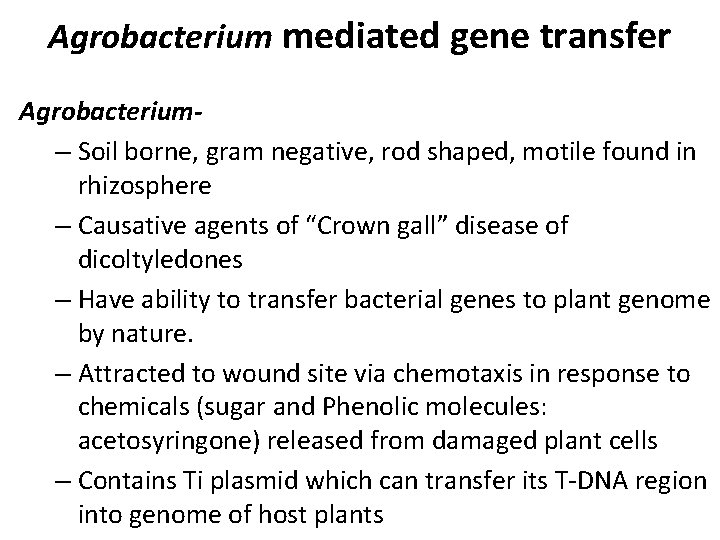 Agrobacterium mediated gene transfer Agrobacterium– Soil borne, gram negative, rod shaped, motile found in