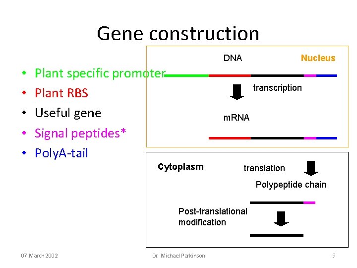 Gene construction DNA • • • Plant specific promoter Plant RBS Useful gene Signal