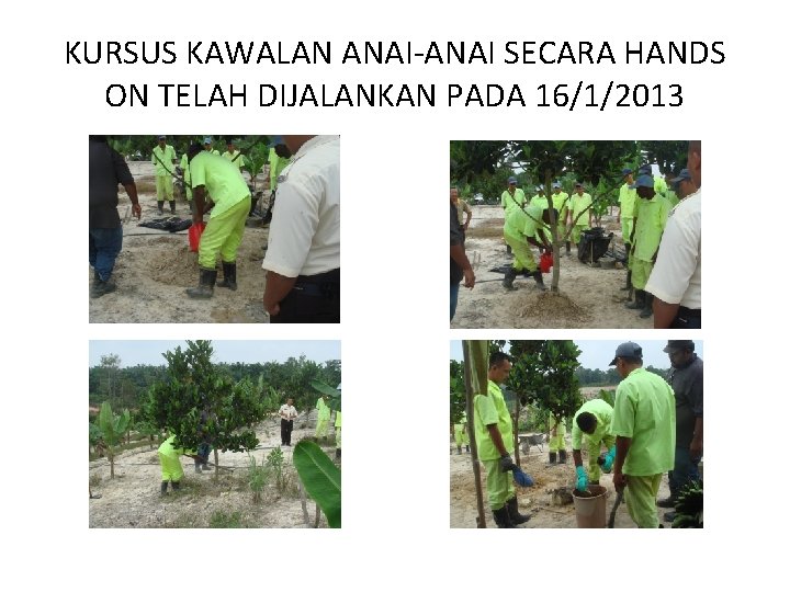 KURSUS KAWALAN ANAI-ANAI SECARA HANDS ON TELAH DIJALANKAN PADA 16/1/2013 