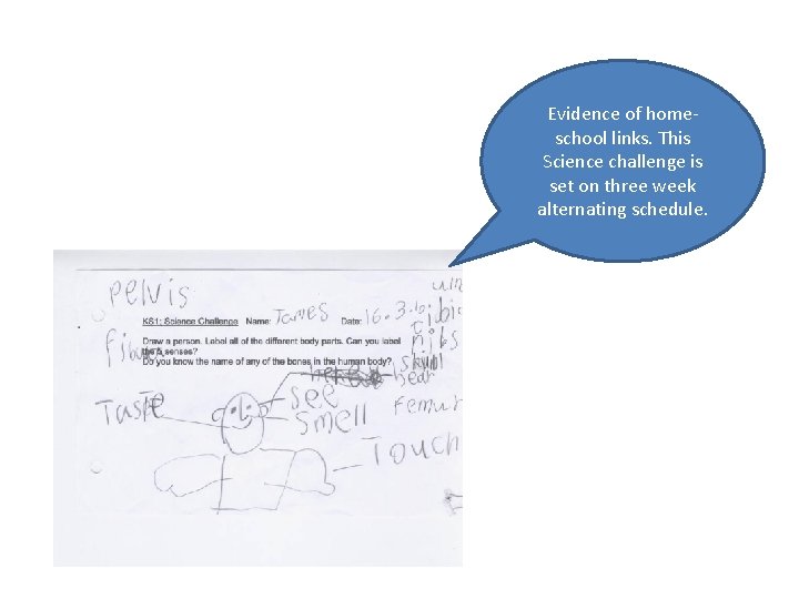 Evidence of homeschool links. This Science challenge is set on three week alternating schedule.