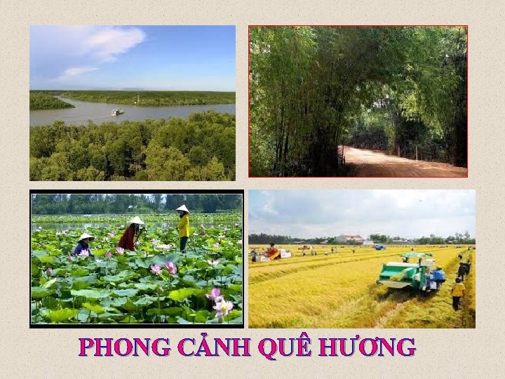 PHONG CẢNH QUÊ HƯƠNG 