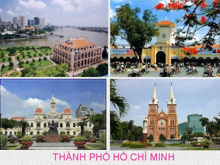 THÀNH PHỐ HỒ CHÍ MINH 