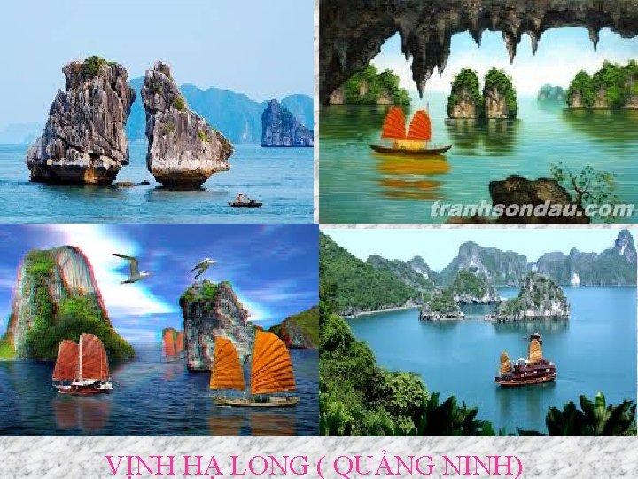 VỊNH HẠ LONG ( QUẢNG NINH) 