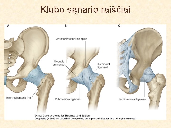 Klubo sąnario raiščiai 