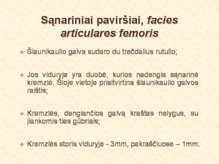 Sąnariniai paviršiai, facies articulares femoris Šlaunikaulio galva sudaro du trečdalius rutulio; Jos viduryje yra