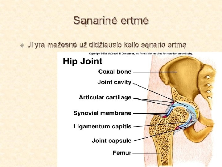Sąnarinė ertmė Ji yra mažesnė už didžiausio kelio sąnario ertmę 