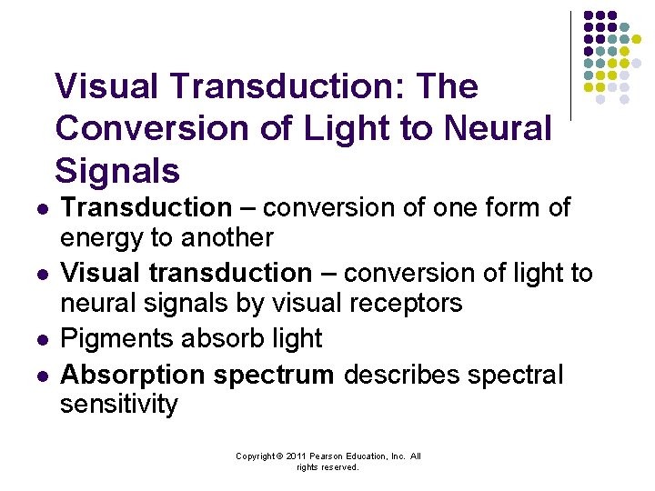 Visual Transduction: The Conversion of Light to Neural Signals l l Transduction – conversion