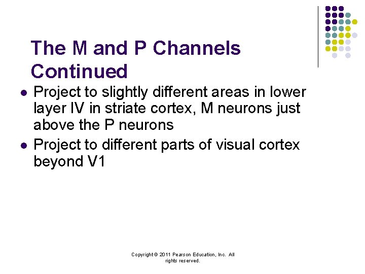 The M and P Channels Continued l l Project to slightly different areas in