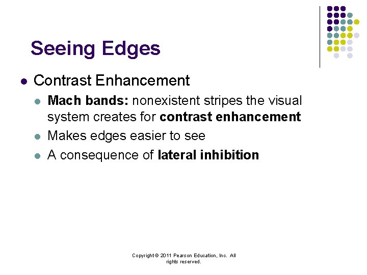 Seeing Edges l Contrast Enhancement l l l Mach bands: nonexistent stripes the visual