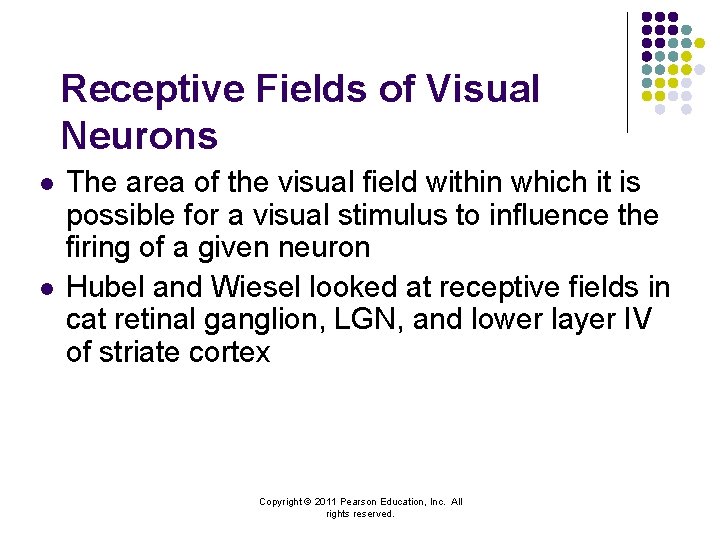 Receptive Fields of Visual Neurons l l The area of the visual field within