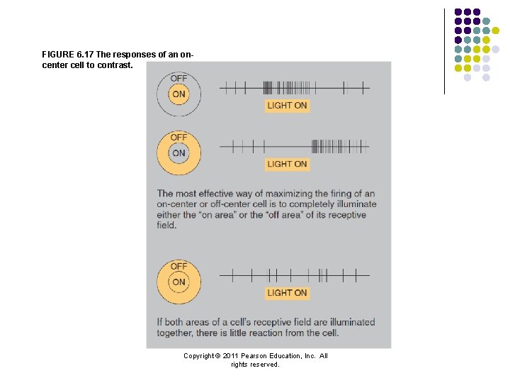 FIGURE 6. 17 The responses of an oncenter cell to contrast. Copyright © 2011