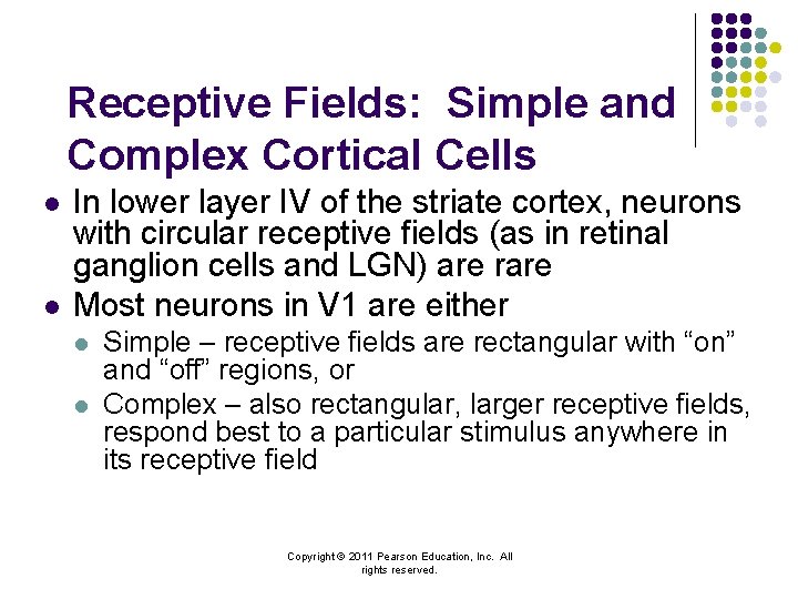 Receptive Fields: Simple and Complex Cortical Cells l l In lower layer IV of