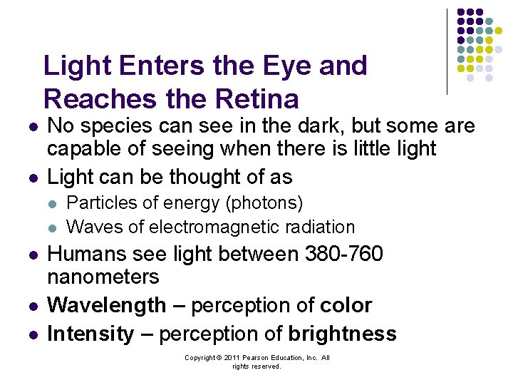 Light Enters the Eye and Reaches the Retina l l No species can see