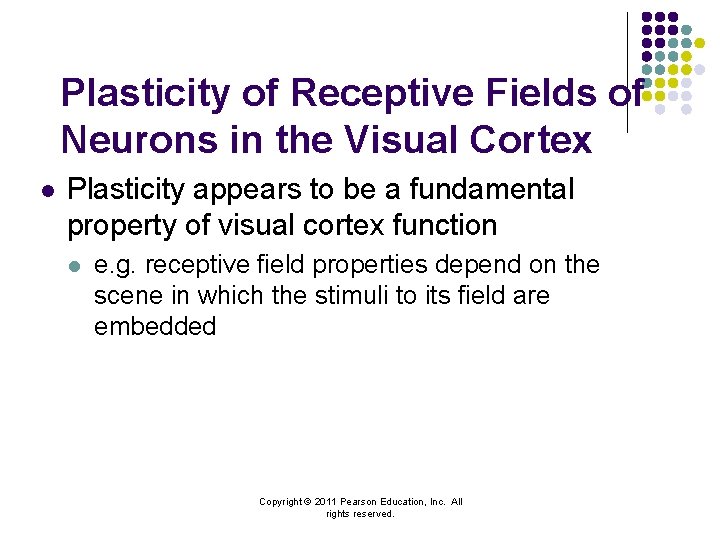 Plasticity of Receptive Fields of Neurons in the Visual Cortex l Plasticity appears to