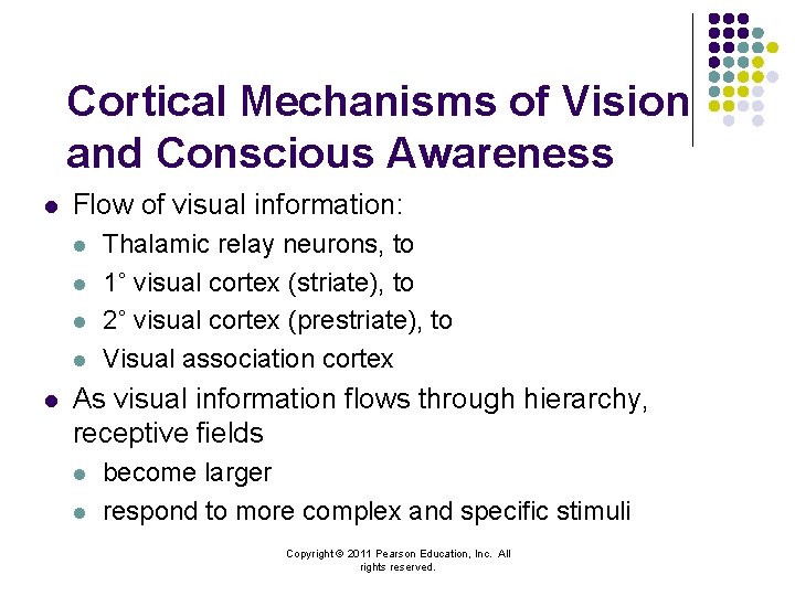 Cortical Mechanisms of Vision and Conscious Awareness l Flow of visual information: l l