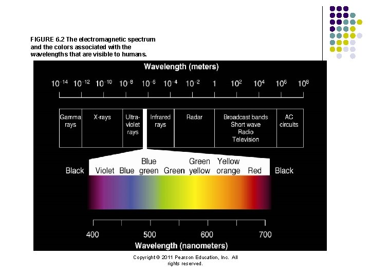 FIGURE 6. 2 The electromagnetic spectrum and the colors associated with the wavelengths that