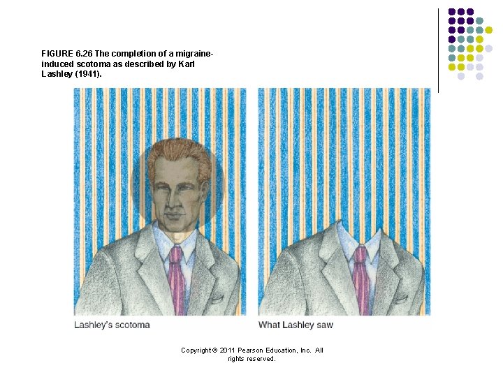 FIGURE 6. 26 The completion of a migraineinduced scotoma as described by Karl Lashley