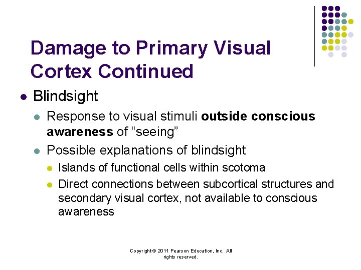 Damage to Primary Visual Cortex Continued l Blindsight l l Response to visual stimuli