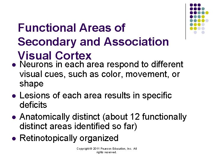 l l Functional Areas of Secondary and Association Visual Cortex Neurons in each area