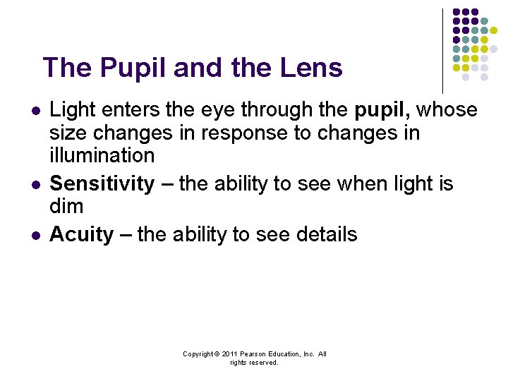 The Pupil and the Lens l l l Light enters the eye through the