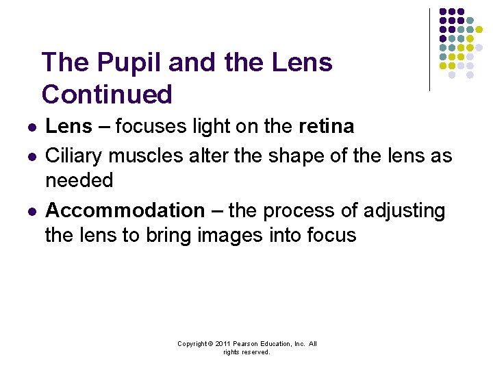 The Pupil and the Lens Continued l l l Lens – focuses light on