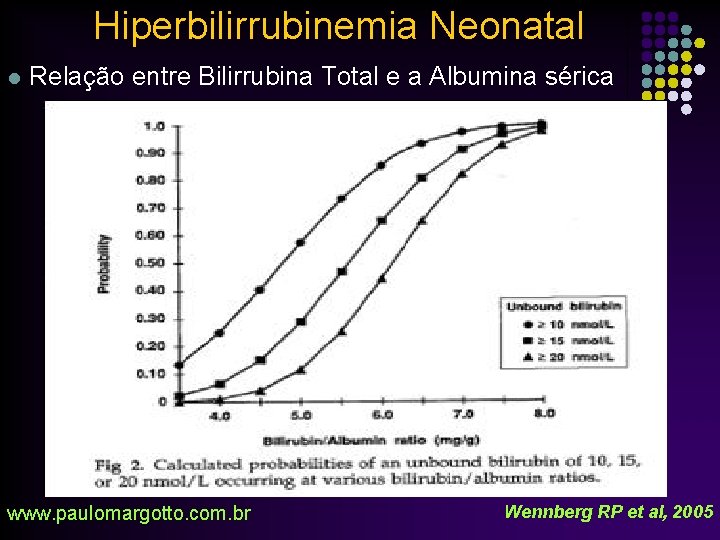 Hiperbilirrubinemia Neonatal l Relação entre Bilirrubina Total e a Albumina sérica www. paulomargotto. com.