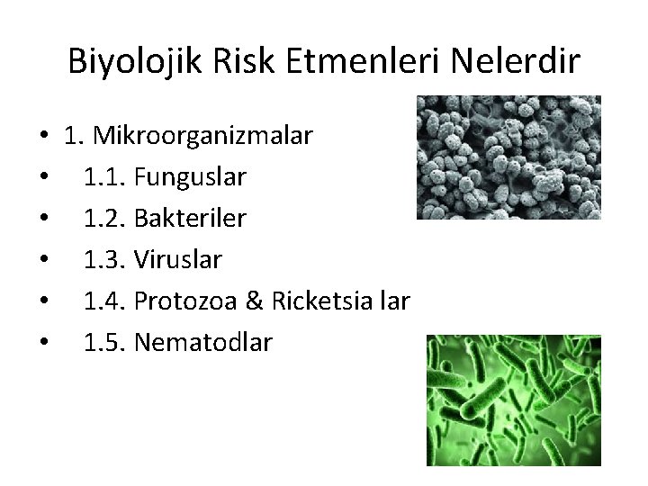 Biyolojik Risk Etmenleri Nelerdir • 1. Mikroorganizmalar • 1. 1. Funguslar • 1. 2.