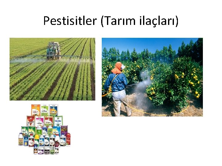 Pestisitler (Tarım ilaçları) 