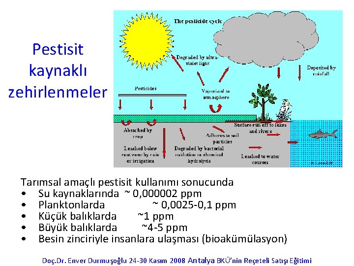 Pestisit kaynaklı zehirlenmeler Tarımsal amaçlı pestisit kullanımı sonucunda • Su kaynaklarında ~ 0, 000002