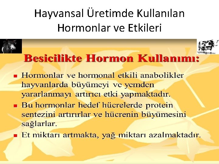 Hayvansal Üretimde Kullanılan Hormonlar ve Etkileri 