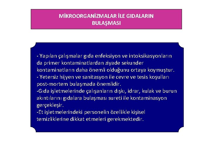 MİKROORGANİZMALAR İLE GIDALARIN BULAŞMASI - Yapılan çalışmalar gıda enfeksiyon ve intoksikasyonların da primer kontaminatlardan