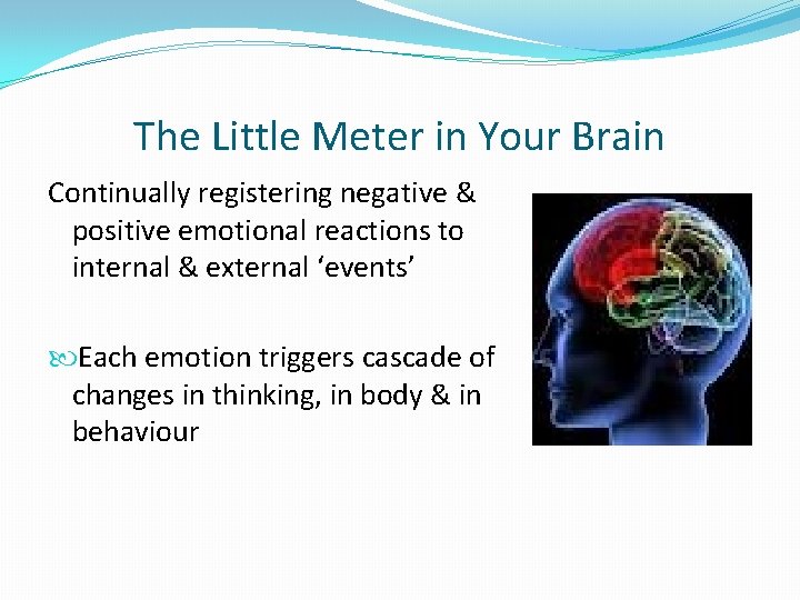 The Little Meter in Your Brain Continually registering negative & positive emotional reactions to
