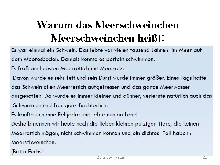 Warum das Meerschweinchen heißt! (c) Sigrid Schwarzer 21 