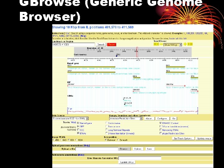 GBrowse (Generic Genome Browser) 