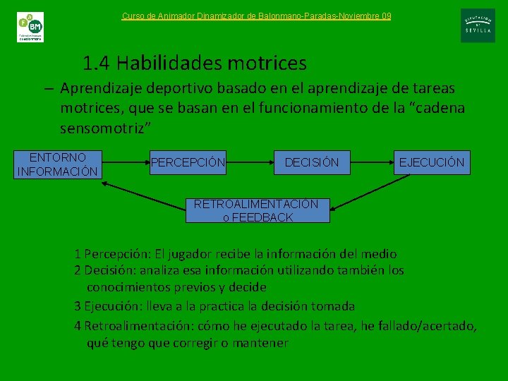 Curso de Animador Dinamizador de Balonmano-Paradas-Noviembre 09 1. 4 Habilidades motrices – Aprendizaje deportivo