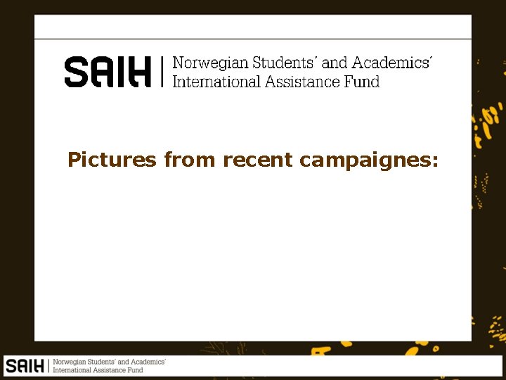 Pictures from recent campaignes: 