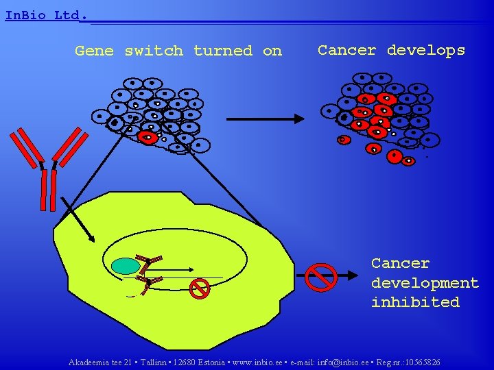 In. Bio Ltd. __________________ Gene switch turned on Cancer develops Cancer development inhibited Akadeemia