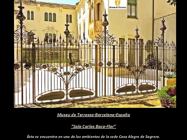 Museu de Terrassa-Barcelona-España “Sala Carlos Baca-Flor” Ésta se encuentra en uno de los ambientes