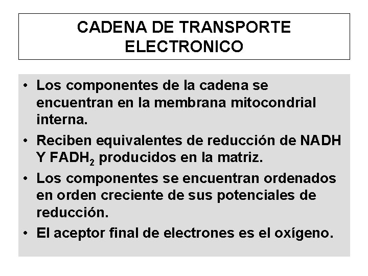 CADENA DE TRANSPORTE ELECTRONICO • Los componentes de la cadena se encuentran en la