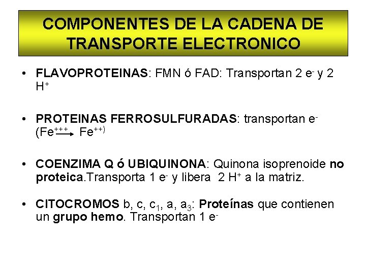 COMPONENTES DE LA CADENA DE TRANSPORTE ELECTRONICO • FLAVOPROTEINAS: FMN ó FAD: Transportan 2