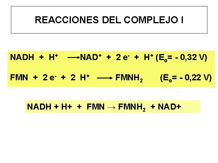 REACCIONES DEL COMPLEJO I NADH + H+ NAD+ + 2 e- + H+ (Eo=