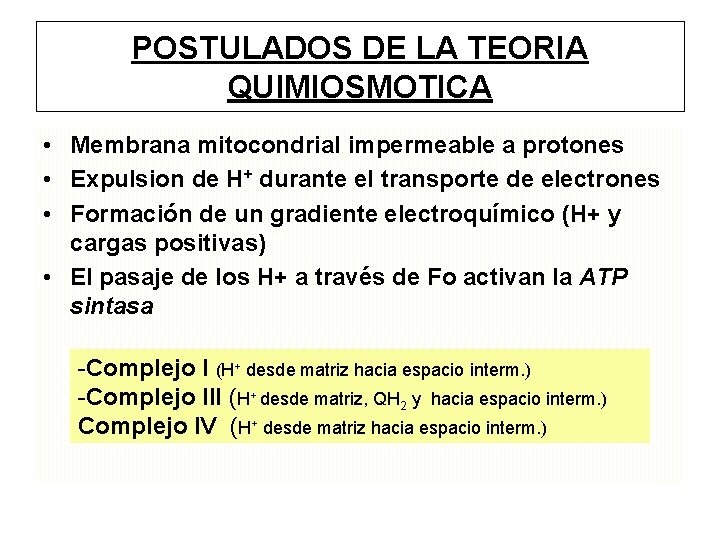 POSTULADOS DE LA TEORIA QUIMIOSMOTICA • Membrana mitocondrial impermeable a protones • Expulsion de