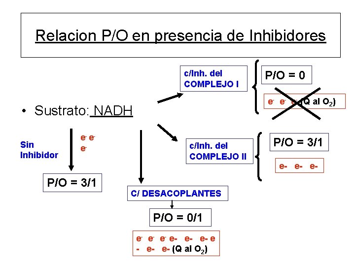 Relacion P/O en presencia de Inhibidores c/Inh. del COMPLEJO I e- e- e- (Q