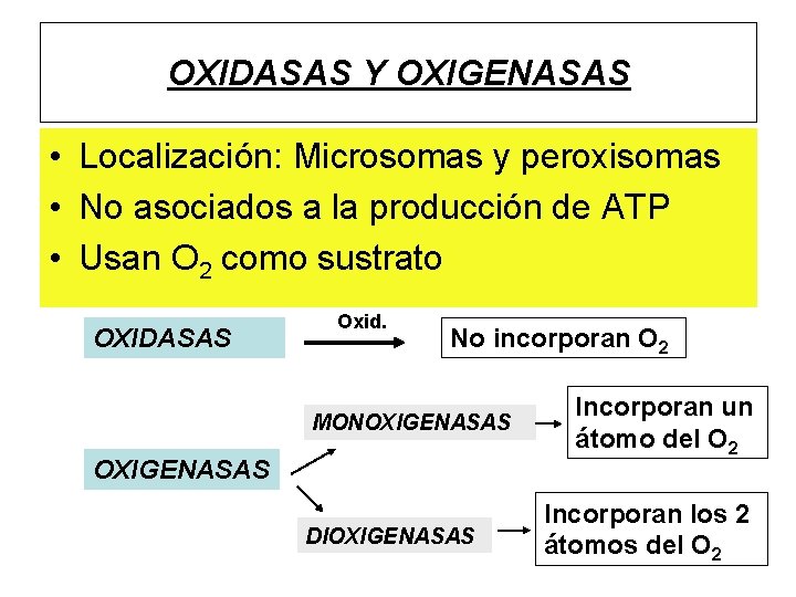 OXIDASAS Y OXIGENASAS • Localización: Microsomas y peroxisomas • No asociados a la producción