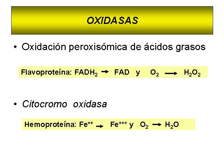 OXIDASAS • Oxidación peroxisómica de ácidos grasos Flavoproteína: FADH 2 FAD y O 2